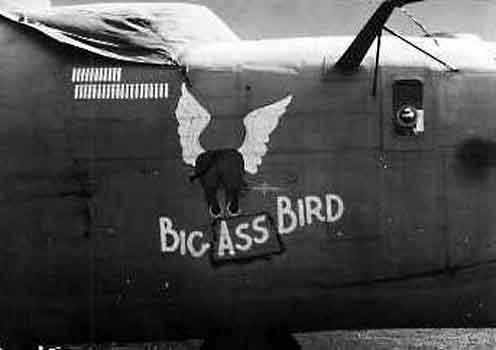 Big Ass Bird